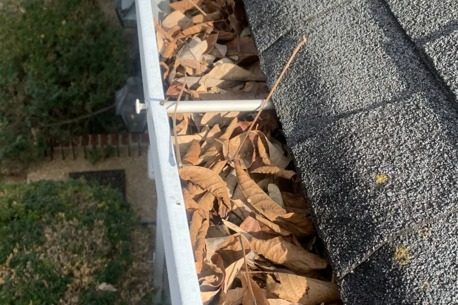 Gutter Cleaning Surf City